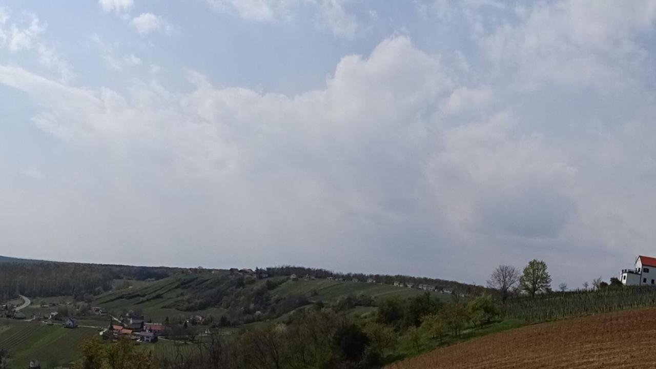 Kellerstoeckl Eisenberg/Pinka Weiner Villa Eisenberg an der Pinka Екстериор снимка