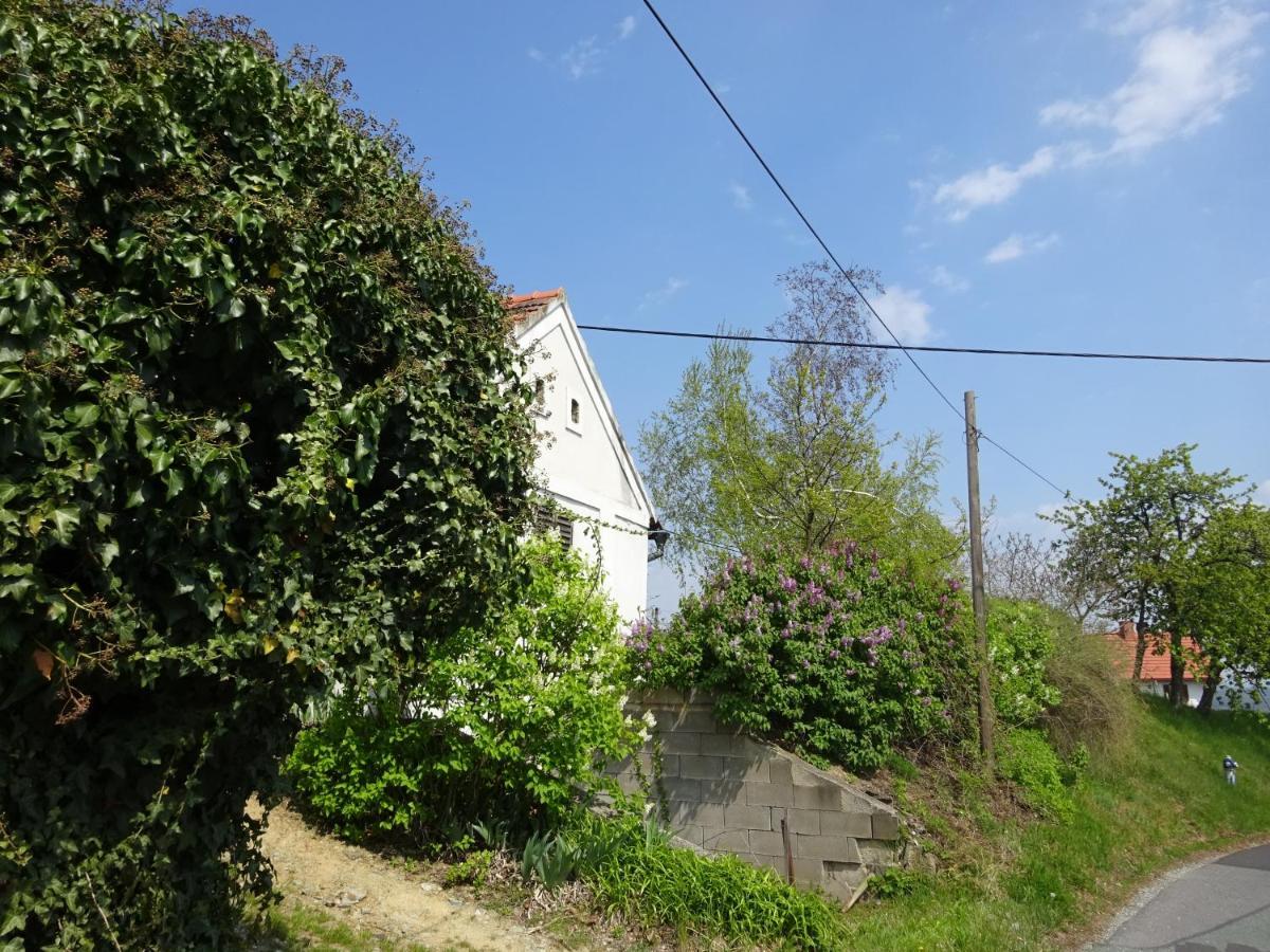 Kellerstoeckl Eisenberg/Pinka Weiner Villa Eisenberg an der Pinka Екстериор снимка