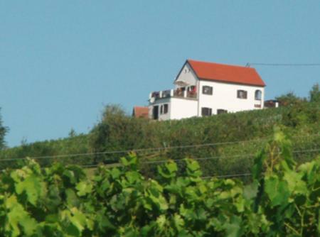 Kellerstoeckl Eisenberg/Pinka Weiner Villa Eisenberg an der Pinka Екстериор снимка